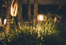 Efektowne i funkcjonalne oświetlenie Twojego ogrodu