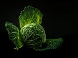 Jakie przyprawy dodajemy do kapusty kiszonej?